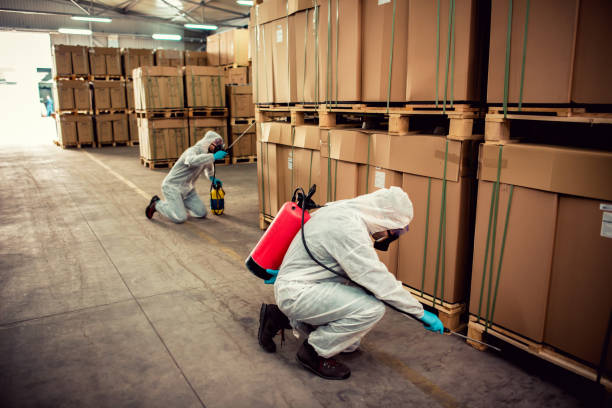 Best Pest Inspection Near Me  in Searles Valley, CA