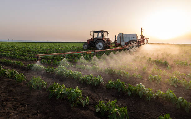 Searles Valley, CA Pest Control Company